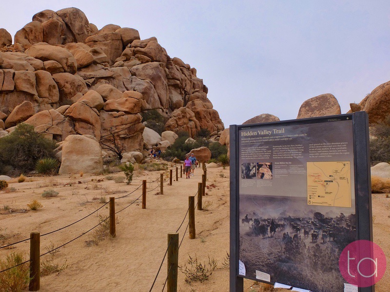 A Day Trip to Joshua Tree National Park