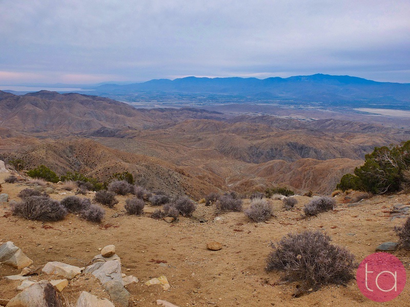 A Day Trip to Joshua Tree National Park
