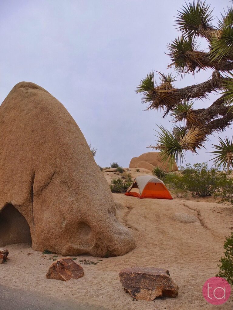 A Day Trip to Joshua Tree National Park