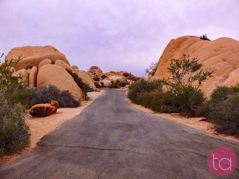 A Day Trip to Joshua Tree National Park
