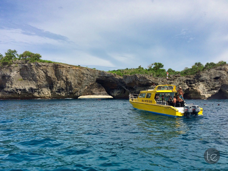 Scuba Diving in Bali