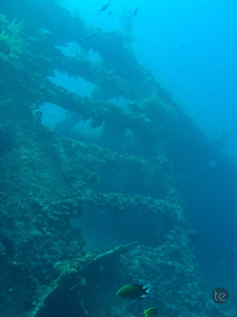 Scuba Diving in Bali