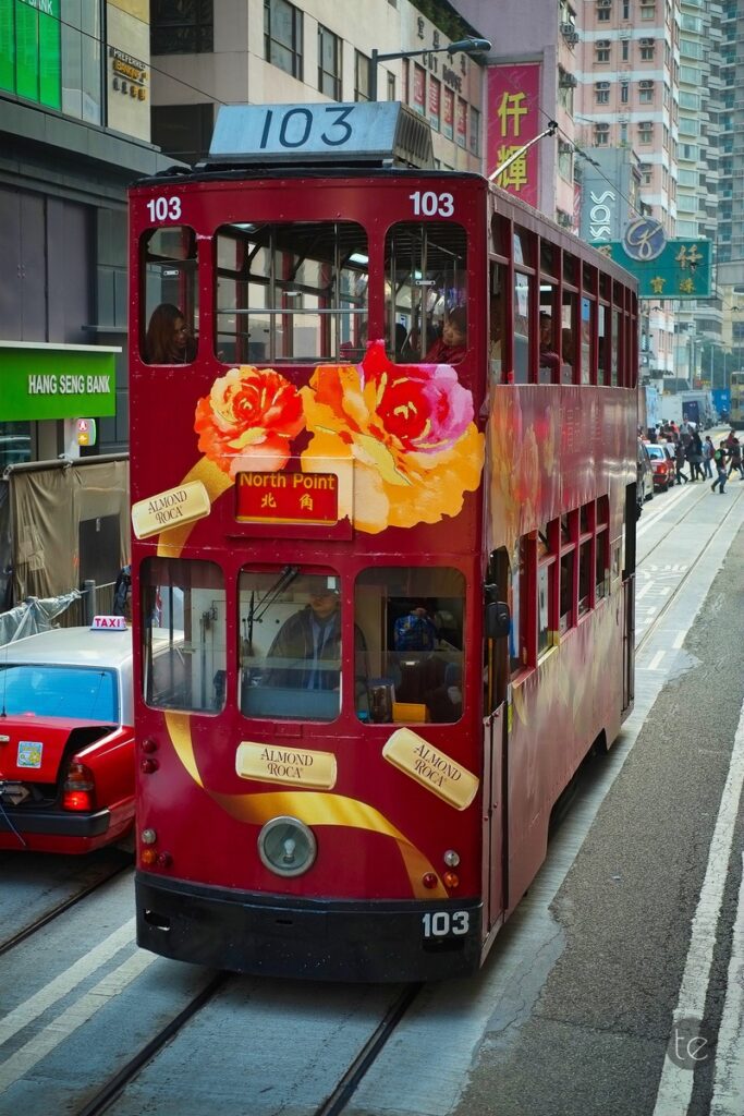 Hong Kong Public Transportation, Trams and Ferry, the Best Way to Explore the City