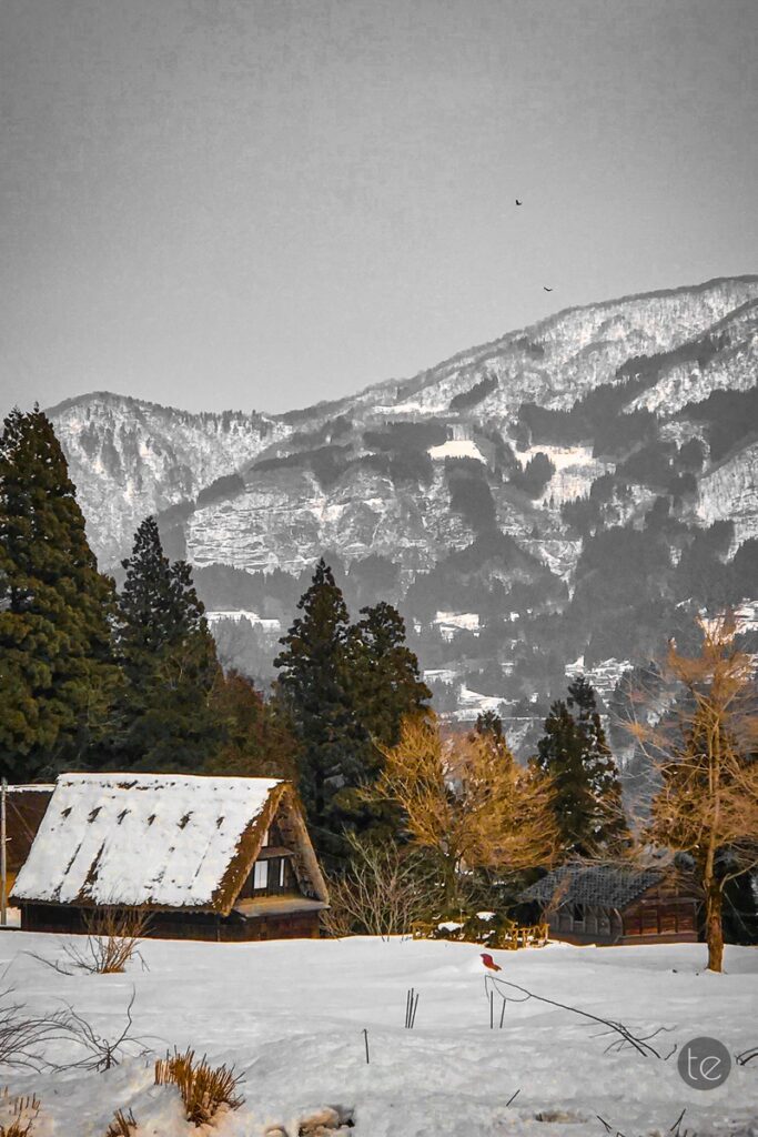Gokayama in Spring Snow