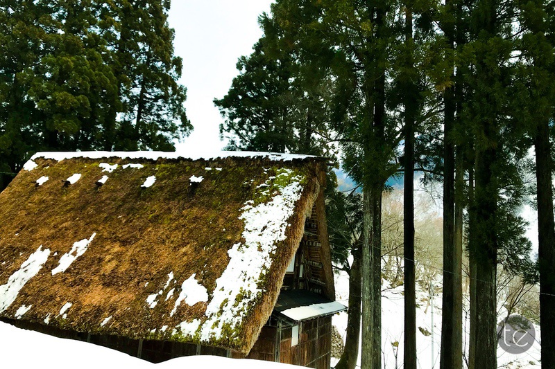 Gokayama in Spring Snow