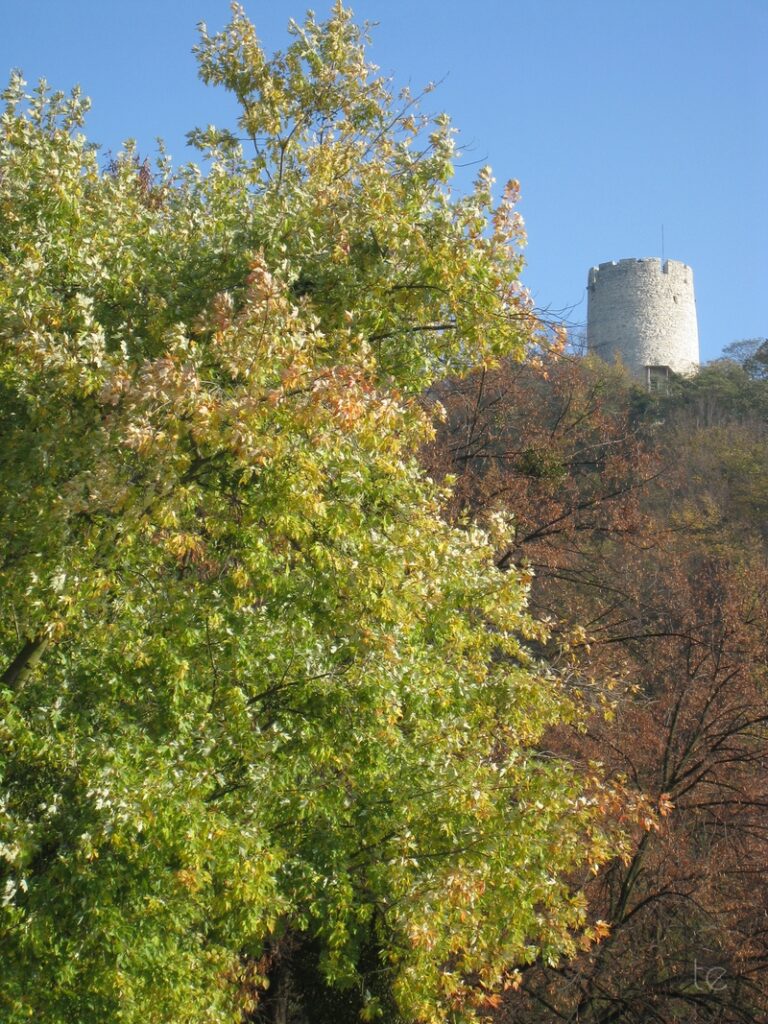 Kazimierz Dolny, Poland