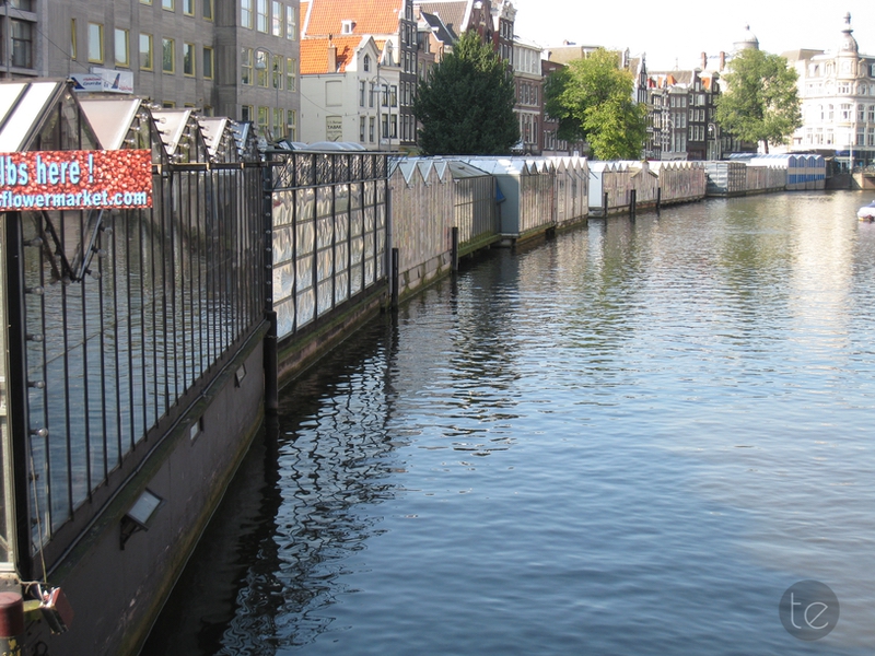 Bloemenmarkt in Amsterdam