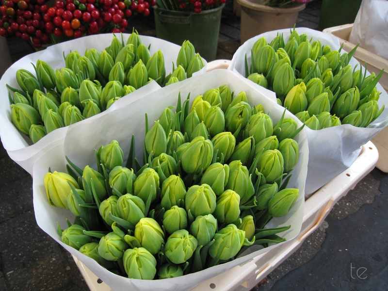 Bloemenmarkt in Amsterdam