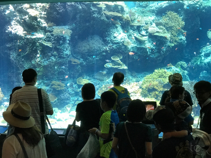 Okinawa Churaumi Aquarium, Japan
