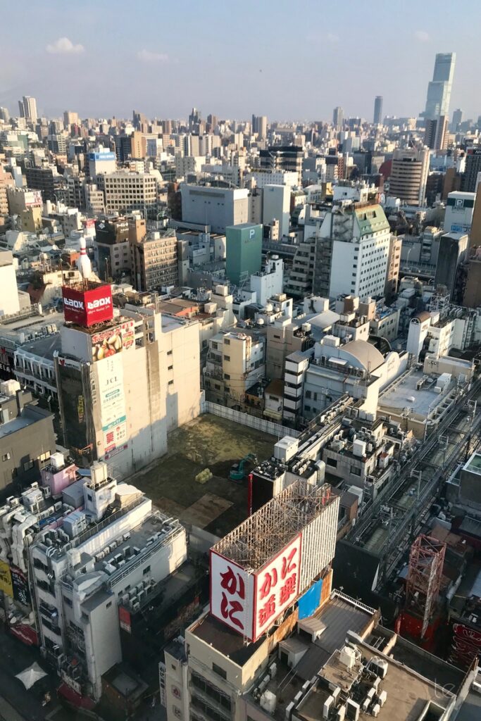 Dotonbori Ferris Wheel, Osaka, Japan