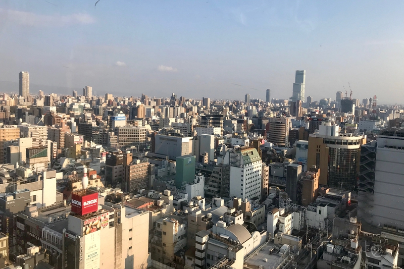 Dotonbori Ferris Wheel, Osaka, Japan
