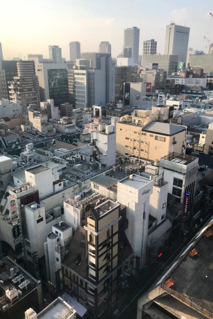 Dotonbori Ferris Wheel, Osaka, Japan