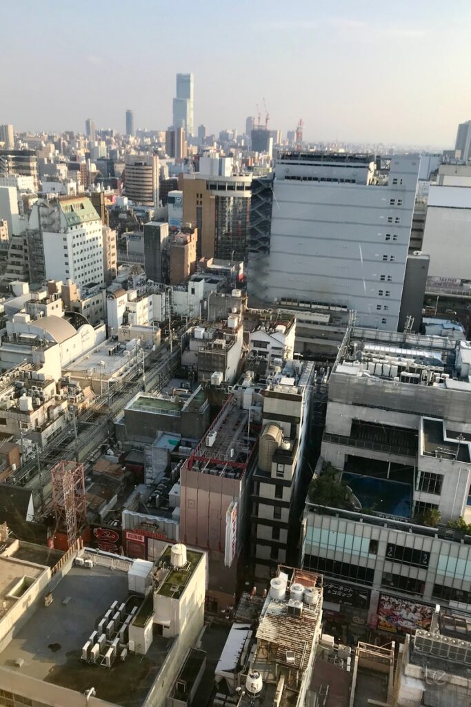 Dotonbori Ferris Wheel, Osaka, Japan