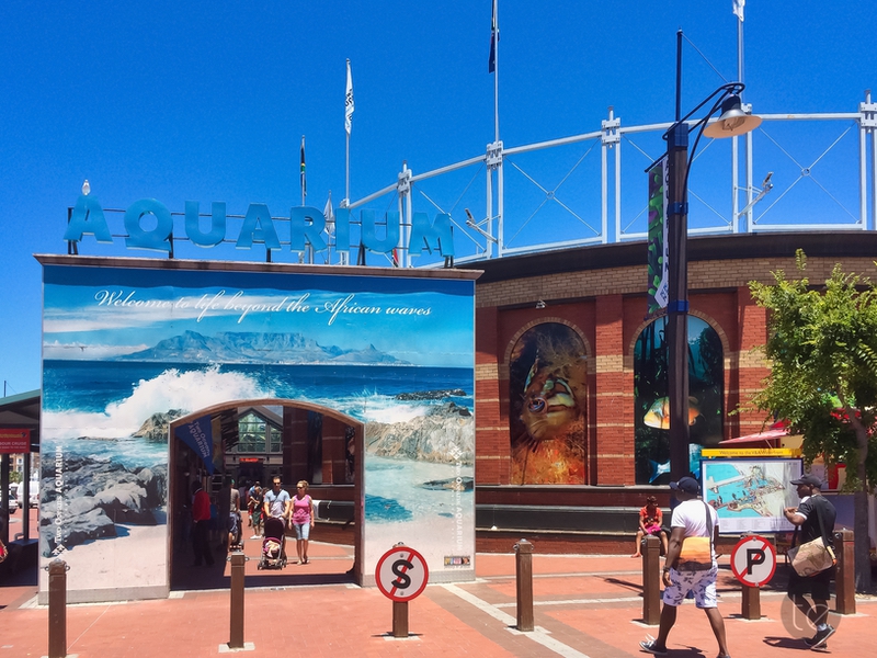 The V&A Waterfront in Cape Town