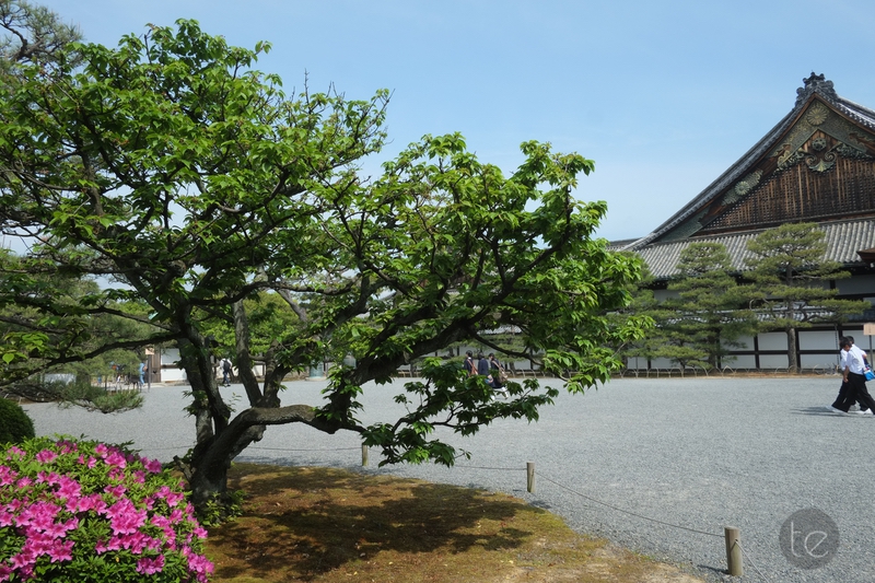 Nijo-jo Castle in Kyoto
