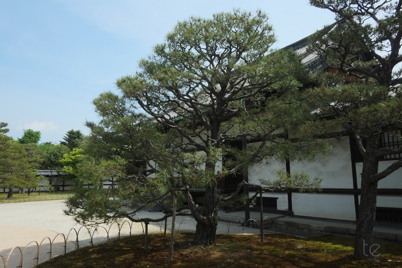 Nijo-jo Castle in Kyoto