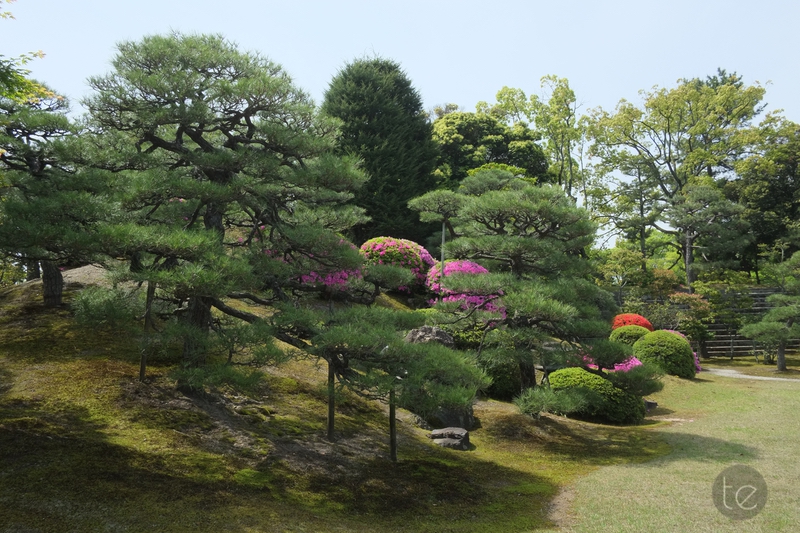 Nijo-jo Castle in Kyoto