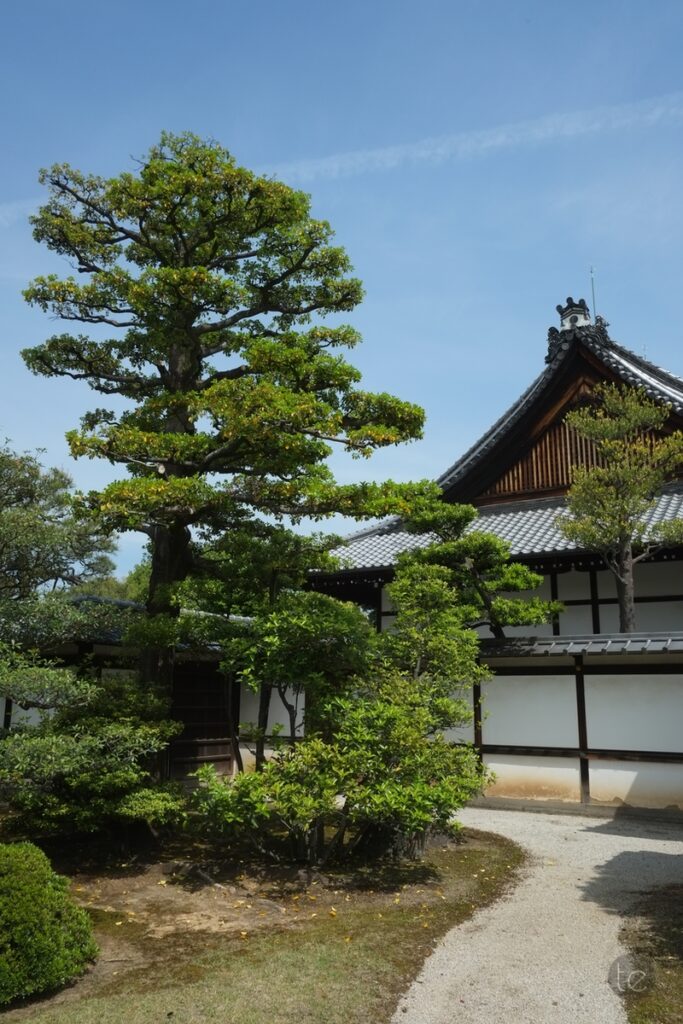 Nijo-jo Castle in Kyoto