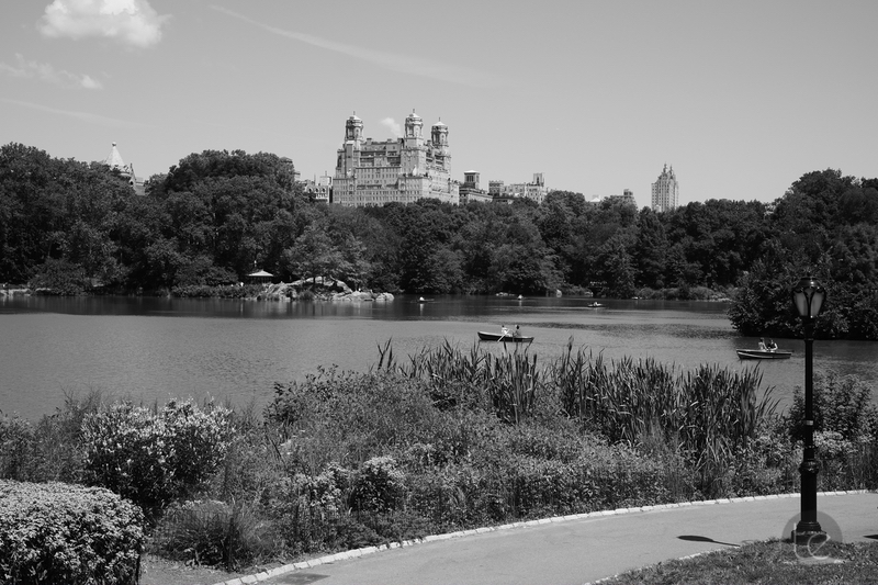 Central Park, New York City, NY, USA