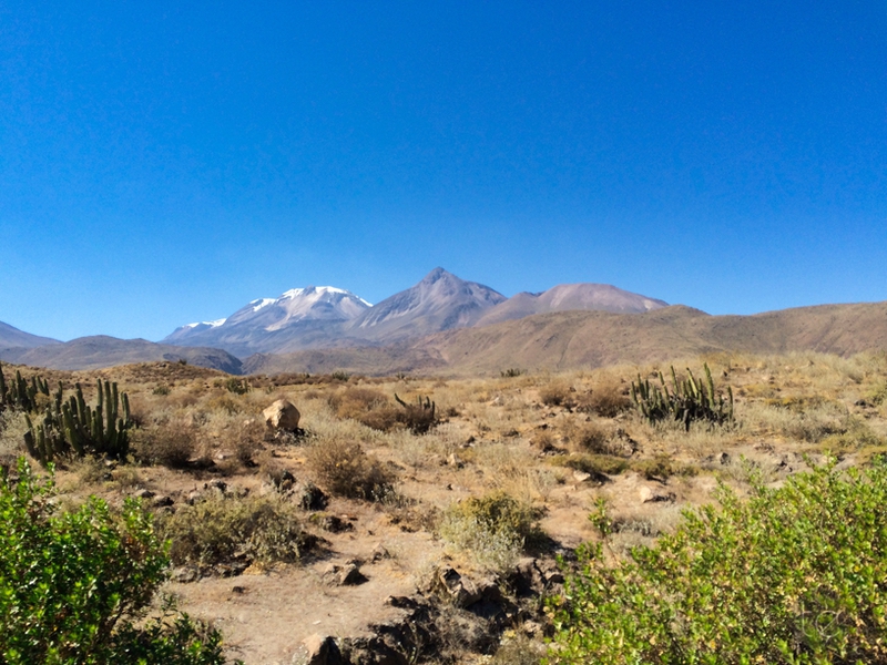 Colca Canyon in Peru