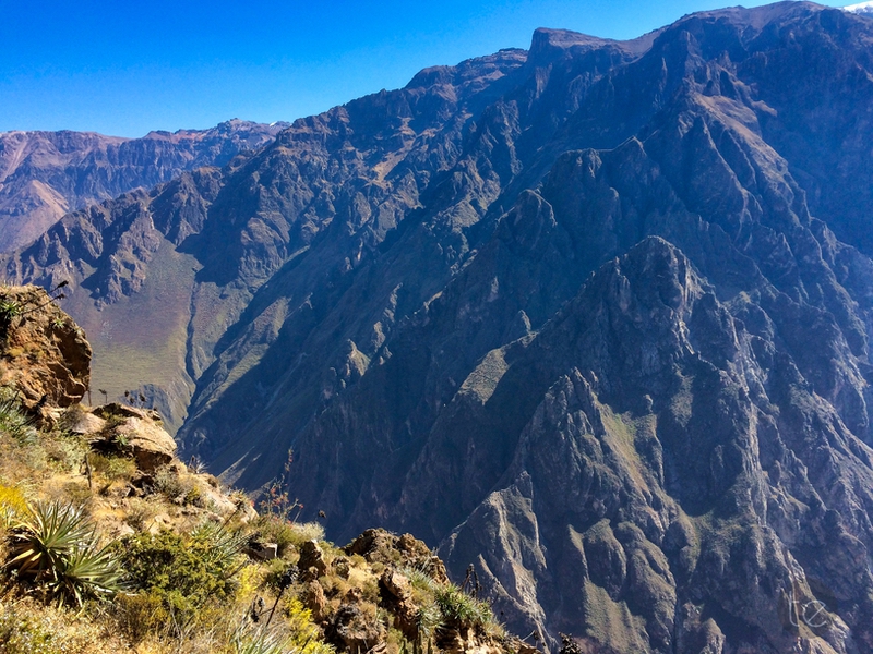 Colca Canyon in Peru