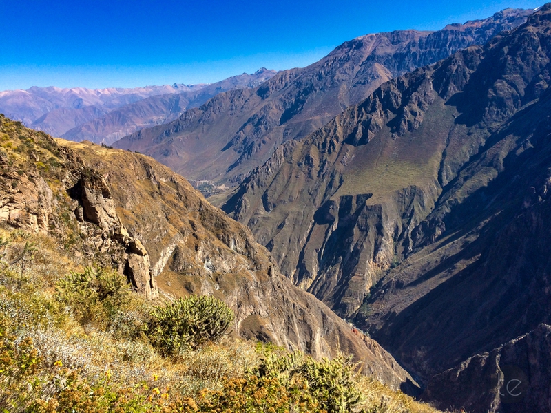 Colca Canyon in Peru