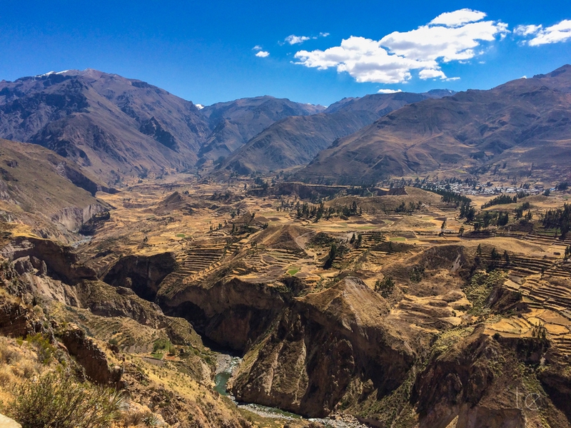 Colca Canyon in Peru