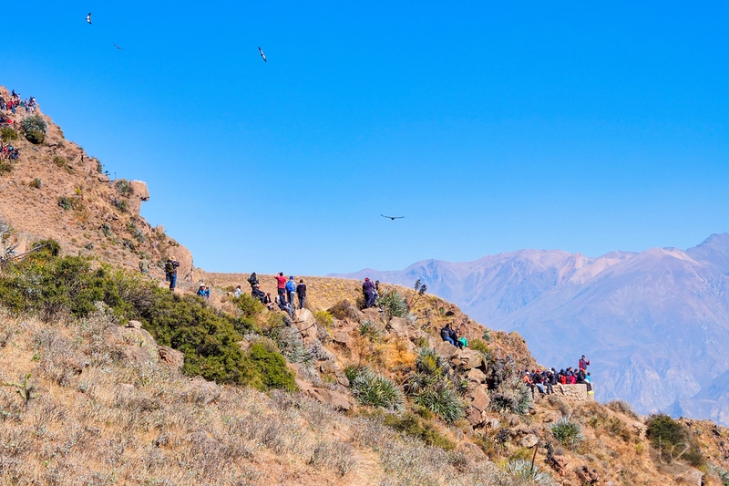 Colca Canyon in Peru