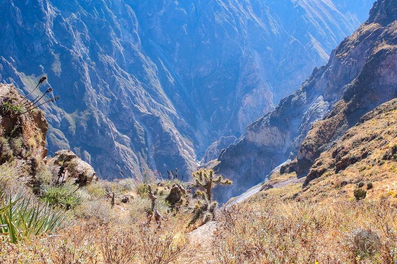 Colca Canyon in Peru