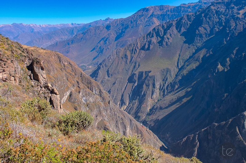 Colca Canyon in Peru