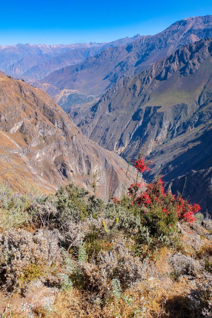 Colca Canyon in Peru