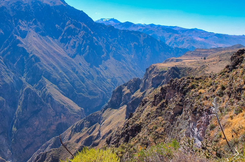 Colca Canyon in Peru
