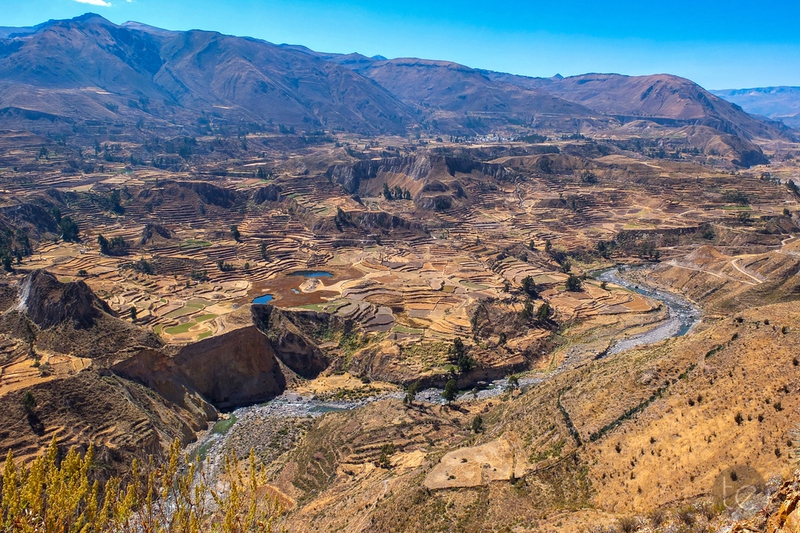 Colca Canyon in Peru