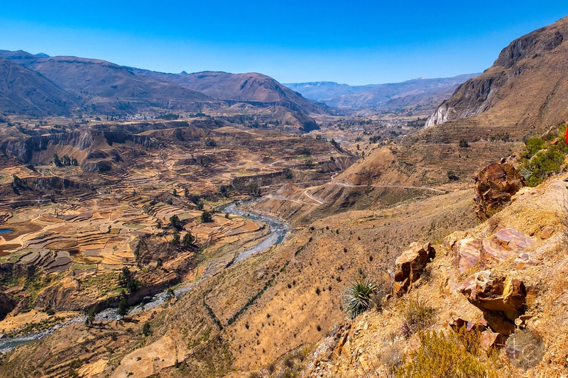 Colca Canyon in Peru