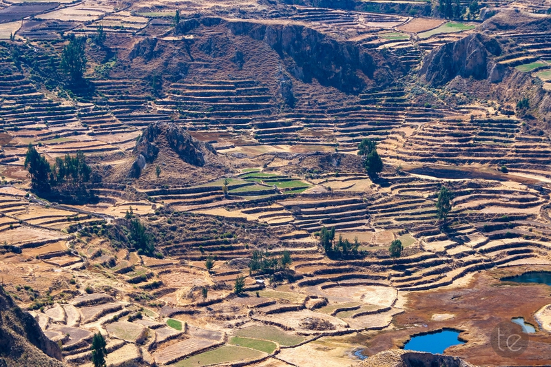 Colca Canyon in Peru