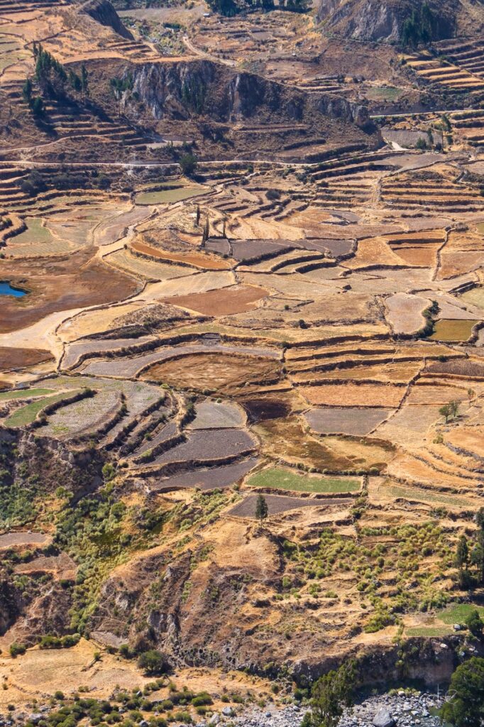 Colca Canyon in Peru