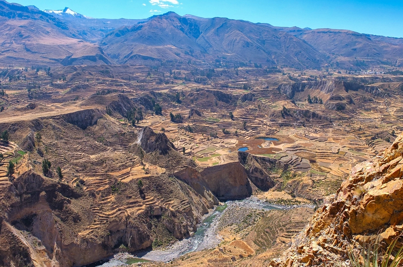 Colca Canyon in Peru