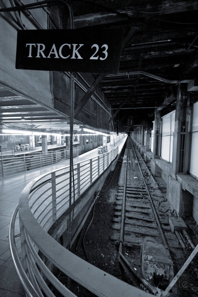 Central Station in the heart of New York City