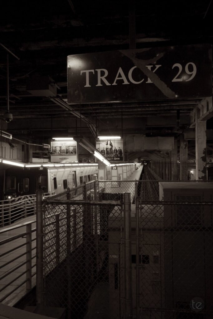 Central Station in the heart of New York City