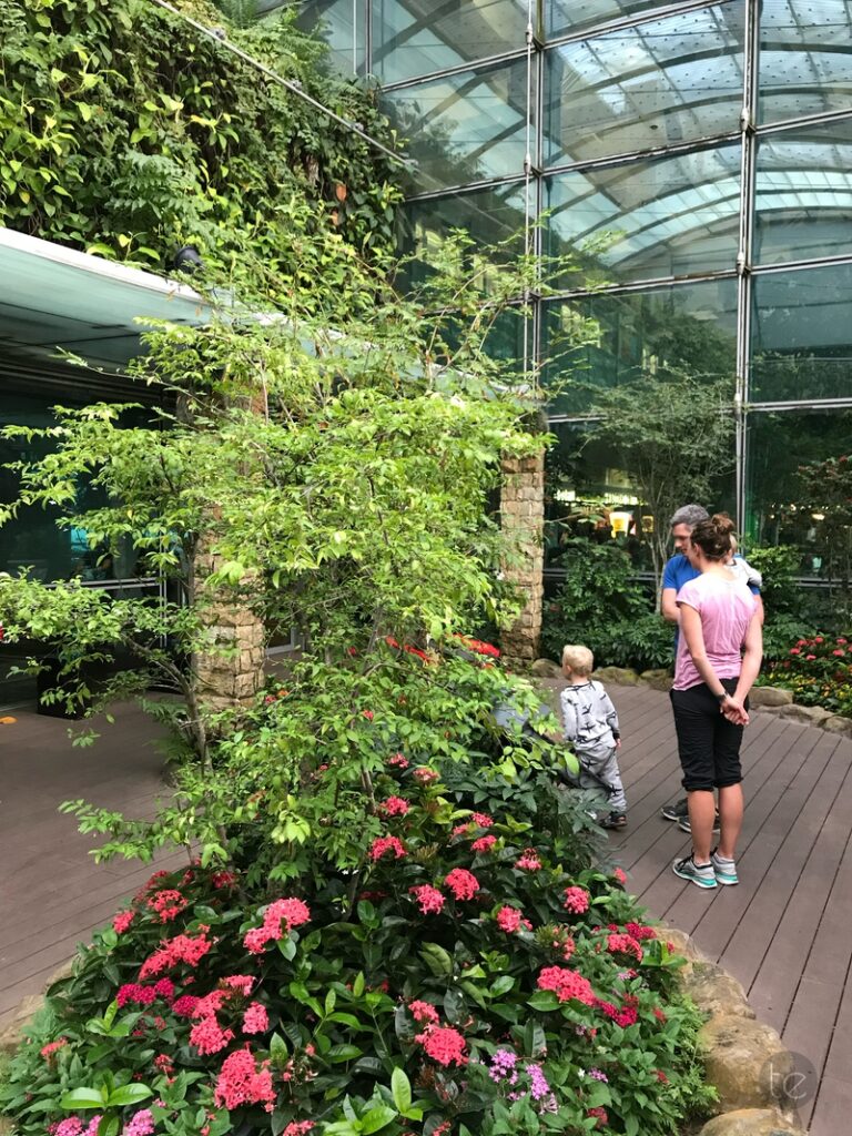 Changi Airport, Singapore