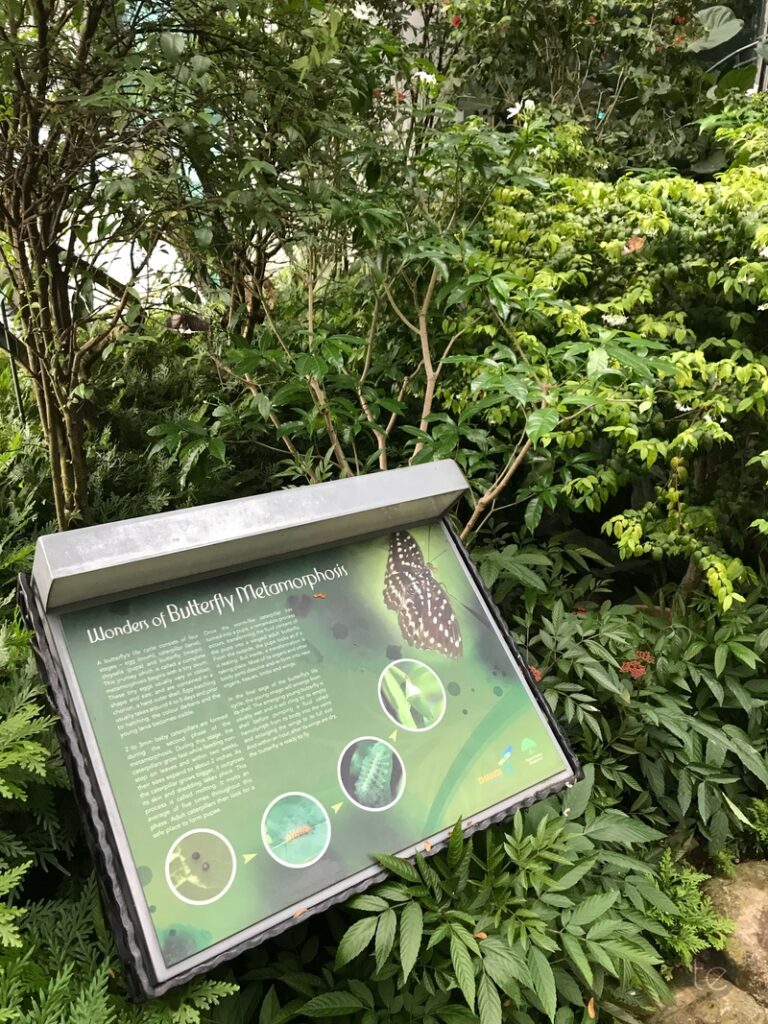 Changi Airport, Singapore