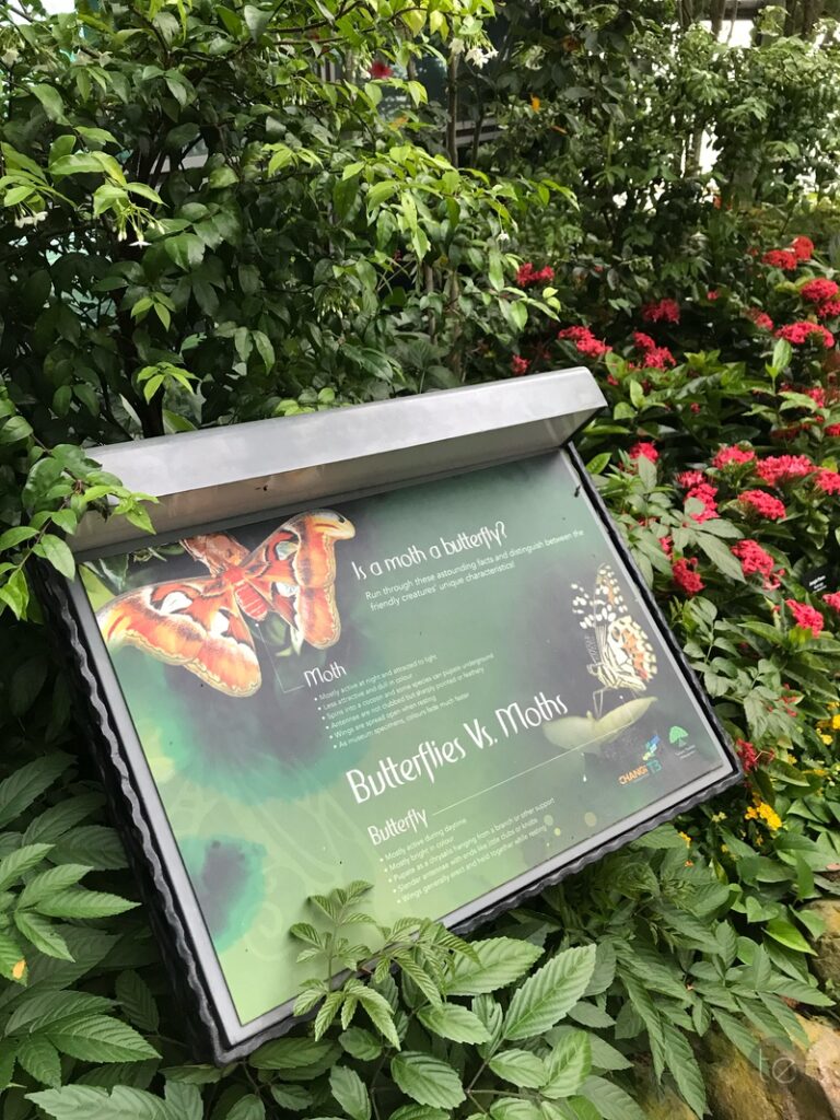 Changi Airport, Singapore