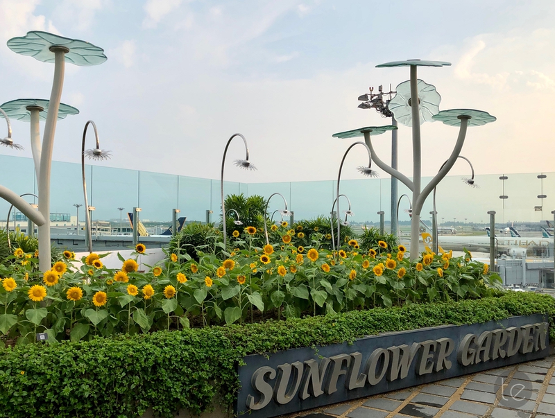 Changi Airport, Singapore