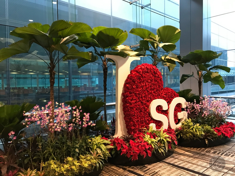 Changi Airport, Singapore