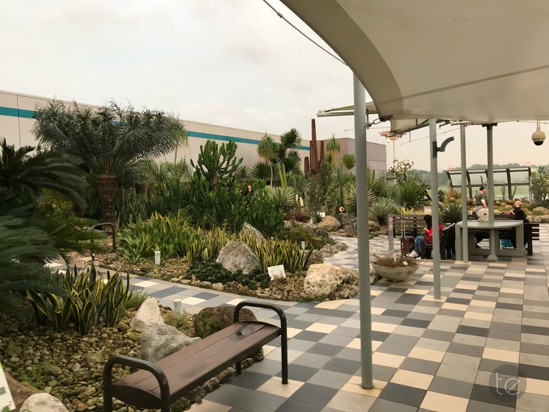 Changi Airport, Singapore