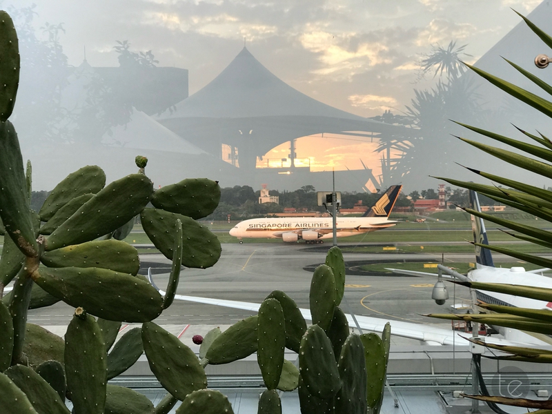 Changi Airport, Singapore