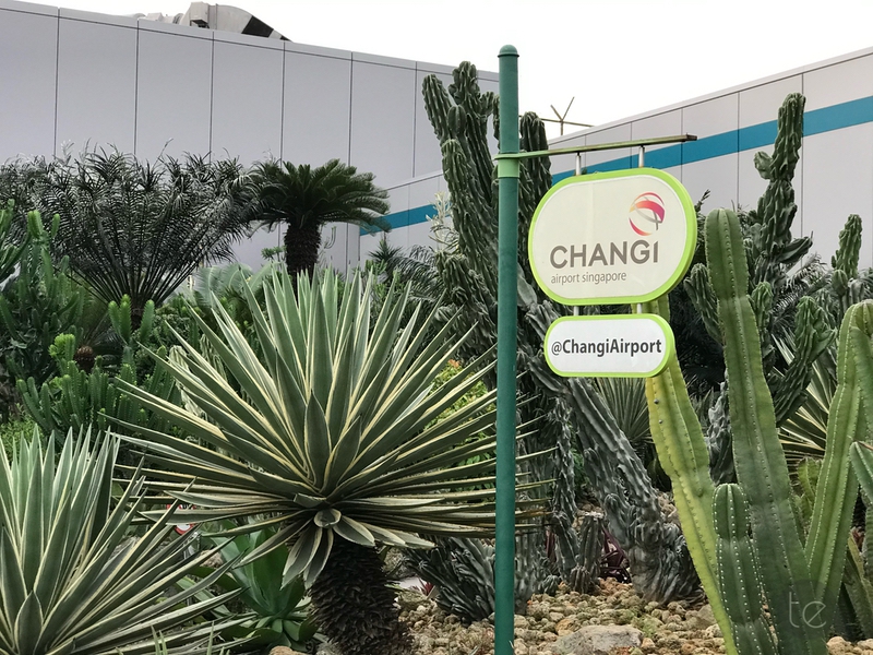 Changi Airport, Singapore