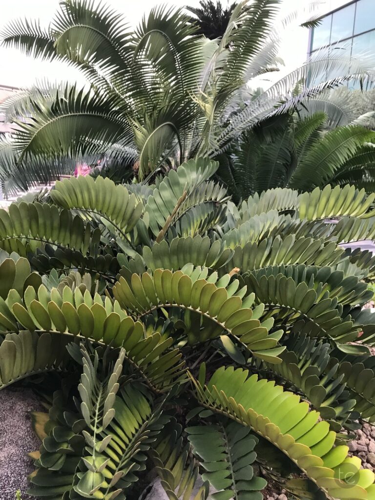 Changi Airport, Singapore