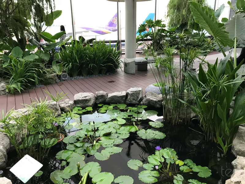 Changi Airport, Singapore