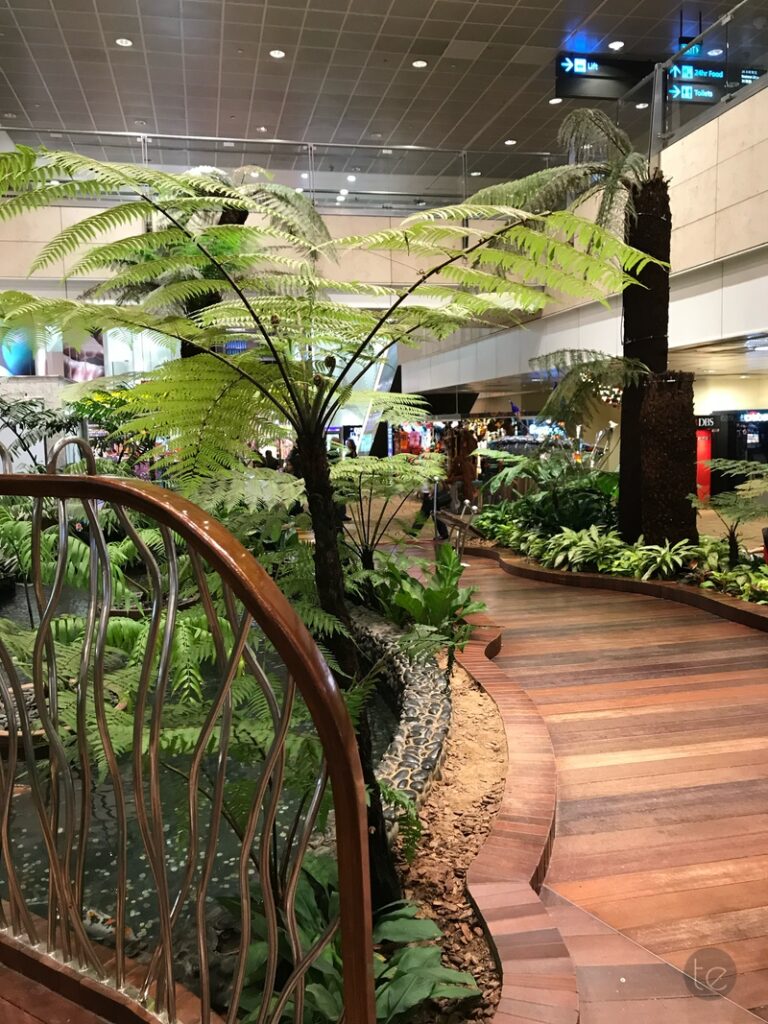Changi Airport, Singapore